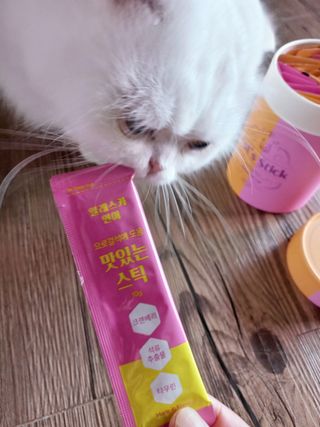 페페로니 맛있는 스틱 - 무항생제 닭고기 15개 + 알래스카 연어 15개 — 5점을 준 리뷰어가 2021년 9월 올린 사용 사진