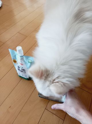 희야님이 올린 리뷰 사진 3