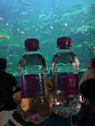 몽베스트 [MONTBEST] 330mL 20병 — 5점을 준 리뷰어가 2022년 4월 올린 사용 사진