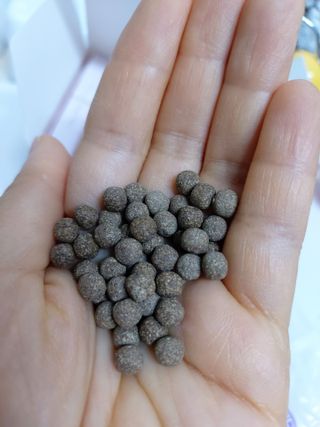 민난길님이 올린 리뷰 사진 2