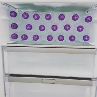 몽베스트 [MONTBEST]위드어스 500mL 20병 — 5점을 준 리뷰어가 2022년 6월 올린 사용 사진