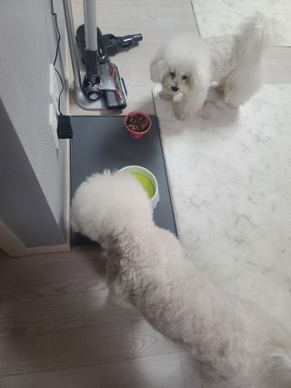 꾸꾸엄마님이 올린 리뷰 사진 3