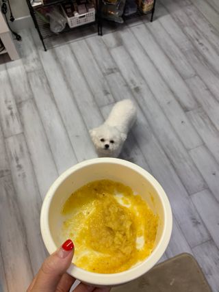 큐티윤님이 올린 리뷰 사진 3