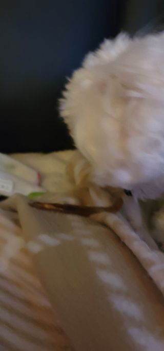 최홍규님이 올린 리뷰 사진 2