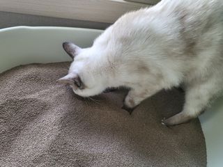 듀야님이 올린 리뷰 사진 2