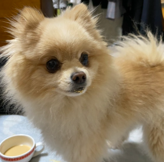 세지니힛님이 올린 리뷰 사진 2