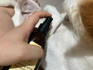 뚜블리님이 올린 리뷰 사진 2