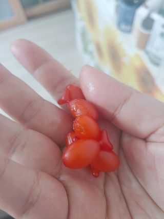 앙팡 츄어블 식물성 오메가3 1000mg x 80캡슐 — 리뷰어가 2022년 11월 올린 사용 사진