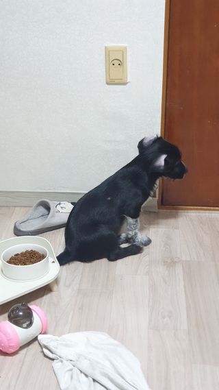 뜨쿠님이 올린 리뷰 사진 3