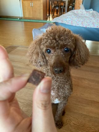 얼짱맘님이 올린 리뷰 사진 2
