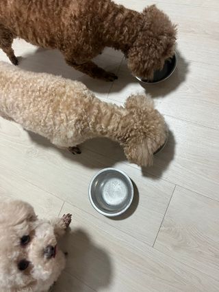숙블리님이 올린 리뷰 사진 3