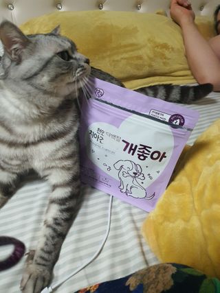 My Pet Care 천연단백질 치아건강에 개좋아 — 5점을 준 리뷰어가 2021년 2월 올린 사용 사진