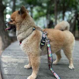 꿀냥이님이 올린 리뷰 사진 1
