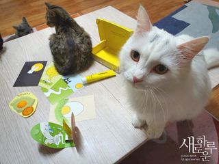 chk822님이 올린 리뷰 사진 1