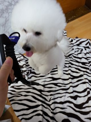 최보경님이 올린 리뷰 사진 1