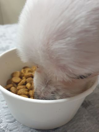 도도맘님이 올린 리뷰 사진 4