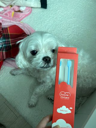 콩이님이 올린 리뷰 사진 3