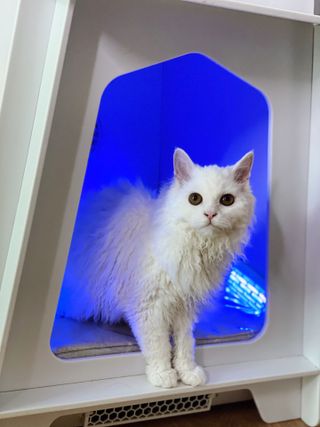 사라비비님이 올린 리뷰 사진 4