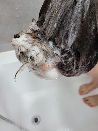도도님이 올린 리뷰 사진 2