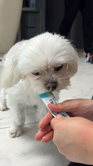 다엘님이 올린 리뷰 사진 2