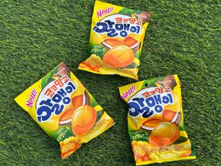 김햇살님이 올린 리뷰 사진 1