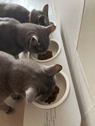 여온님이 올린 리뷰 사진 3