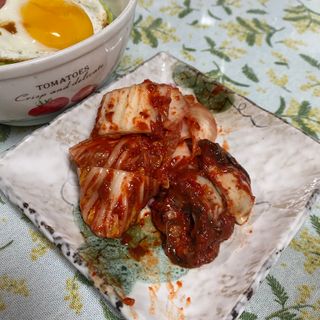셰프애찬 별미김치 굴겉절이 1kg — 5점을 준 리뷰어가 2022년 12월 올린 사용 사진