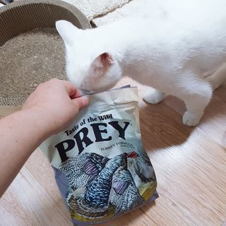 김수수님이 올린 리뷰 사진 1