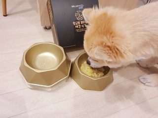 좋아님이 올린 리뷰 사진 2