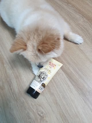 버츠비 케어플러스 릴리빙포앤노즈로션 — 4점을 준 리뷰어가 2021년 4월 올린 사용 사진