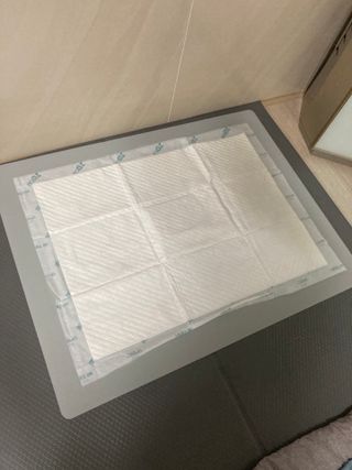 아베크 펫 와이드 프리미엄 대형 애견 강아지 배변 패드 30매 1팩 80g — 5점을 준 리뷰어가 2021년 7월 올린 사용 사진