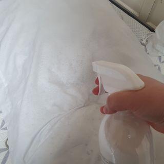 편백의정석 편백의 정석, 피톤치드스프레이 살균 천연 탈취제 집먼지 진드기 이불 침대 매트리스 새집중후군 천연 살균제 — 5점을 준 리뷰어가 2021년 3월 올린 사용 사진