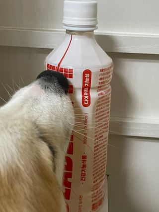 아현님이 올린 리뷰 사진 3