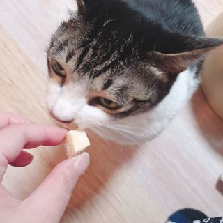 초동이님이 올린 리뷰 사진 3