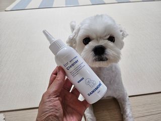 [댕모어 클리너 3종] 아이클리너 / 이어클리너 / 덴탈클리너 3종 세트 (120ml) — 5점을 준 리뷰어가 2023년 8월 올린 사용 사진