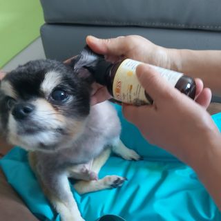 복도리님이 올린 리뷰 사진 4
