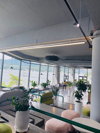 브에노 파리퀸 윌 페이스 오일 — 4점을 준 리뷰어가 2021년 8월 올린 사용 사진