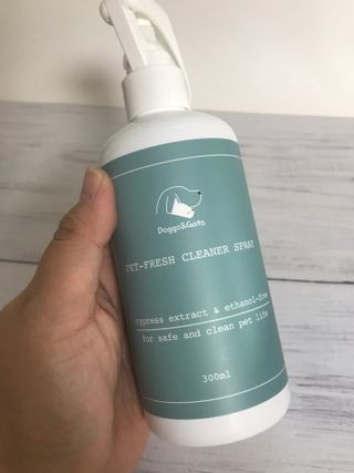 쭈또맘님이 올린 리뷰 사진 2