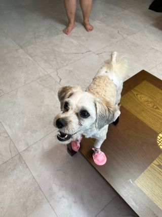 짱채맘님이 올린 리뷰 사진 3