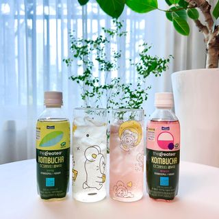 더그레잇티 콤부차 [매일유업] 더그레잇티 44kcal 콤부차 300ml *12개입 (오리지널 6개+베리리치 6개) — 5점을 준 리뷰어가 2023년 8월 올린 사용 사진