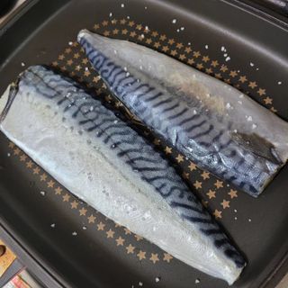 ㈜금호통상 노르웨이 고등어 900g (6~10편) — 5점을 준 리뷰어가 2023년 6월 올린 사용 사진
