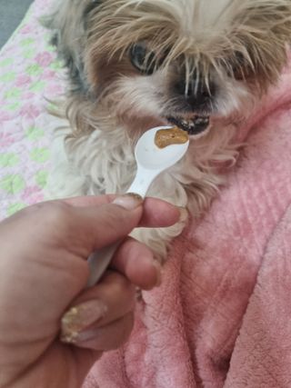 진쓰님이 올린 리뷰 사진 4