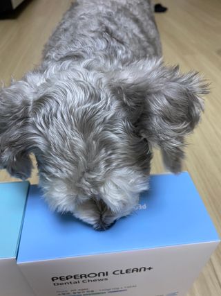 GaHyunKim님이 올린 리뷰 사진 2