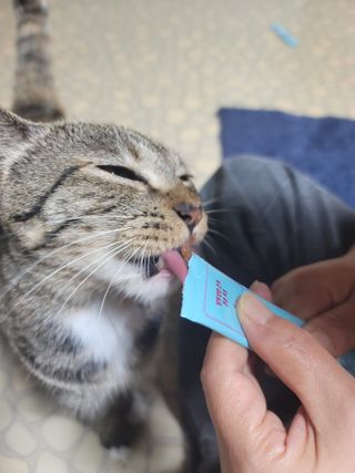 로시님이 올린 리뷰 사진 3