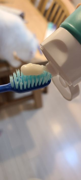 리퀴덴트 오랄케어 온가족용 리퀴덴트 더더 오랄케어 무불소 치약 + 임상시험완료 이중 미세 엠보싱 칫솔 올데이세트 — 5점을 준 리뷰어가 2020년 12월 올린 사용 사진