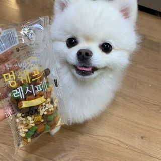 꾸준히님이 올린 리뷰 사진 3
