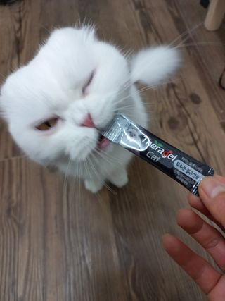 좋아님이 올린 리뷰 사진 2