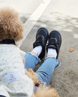 꽃양뿌니님이 올린 리뷰 사진 1
