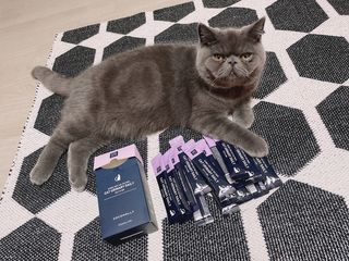 코코몰리 고양이 구강• 헤어볼 데일리 /신장• 요로 데일리 — 5점을 준 리뷰어가 2021년 3월 올린 사용 사진