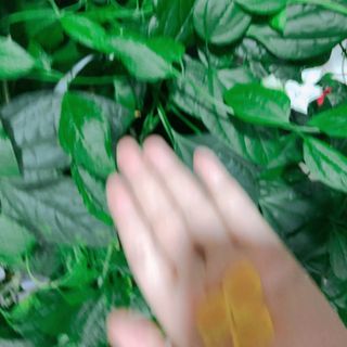 묵향가득님이 올린 리뷰 사진 2